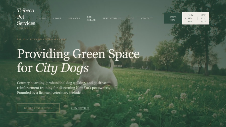 Tribeca Pet Services website homepage